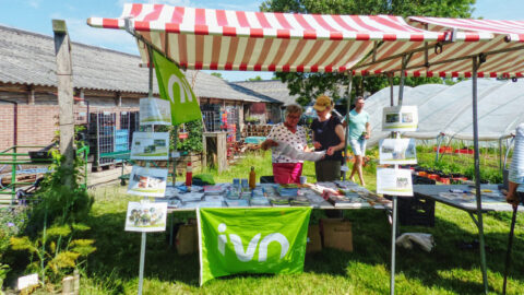 Twee mensen bij een informatiestand van IVN onder een rood-wit gestreepte luifel op een zonnig evenement.