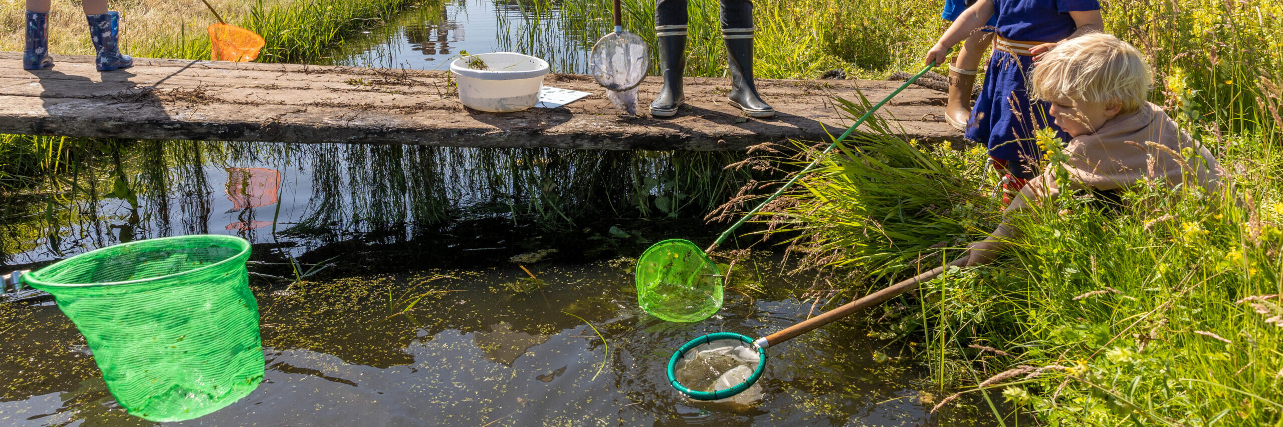 Kinderen vangen waterdieren met netten bij een slootje in het gras.