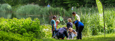 Kinderen onderzoeken de natuur aan de rand van een vijver, omgeven door groen en riet.