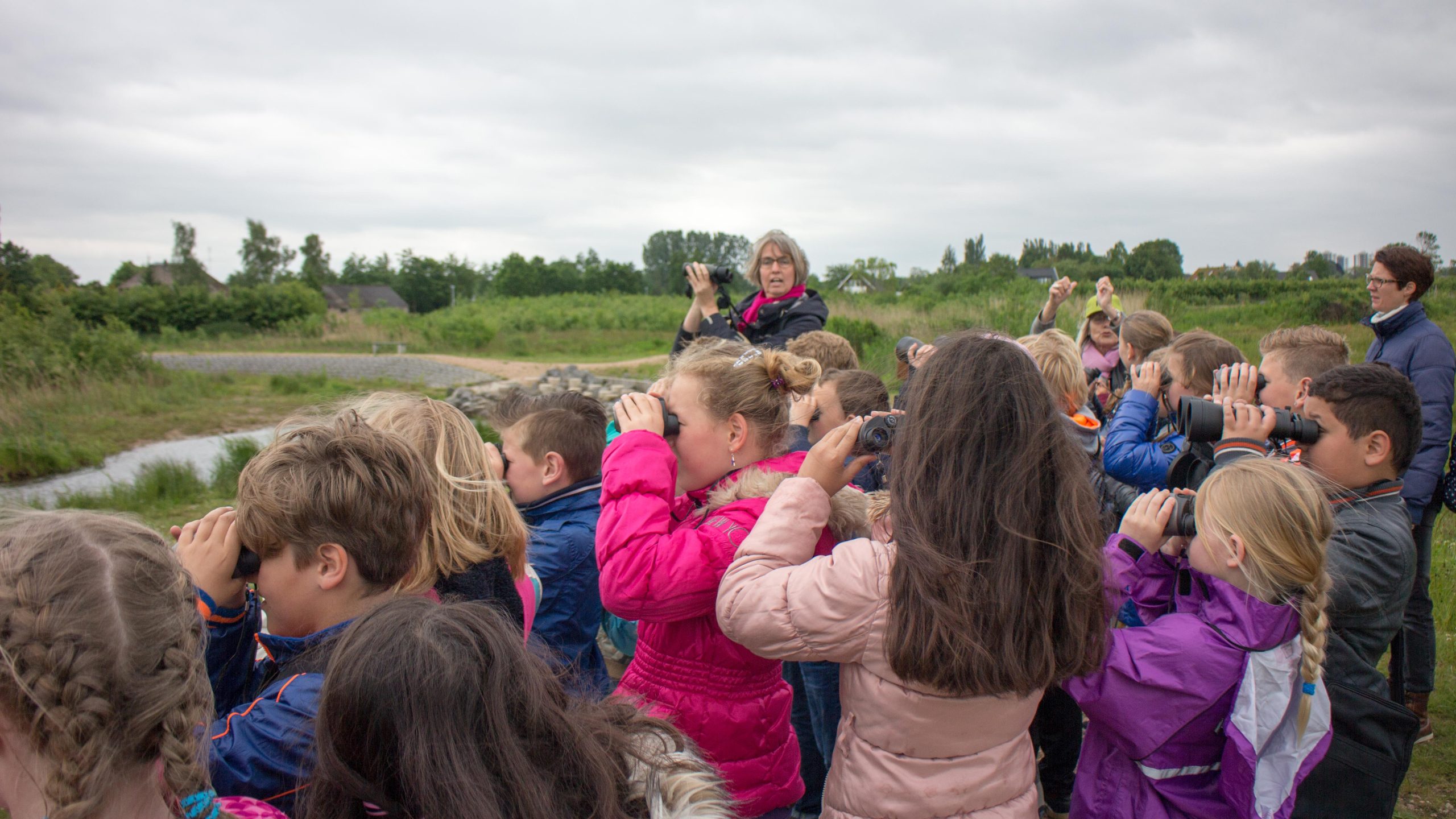 Werkgroep Scharrelkids