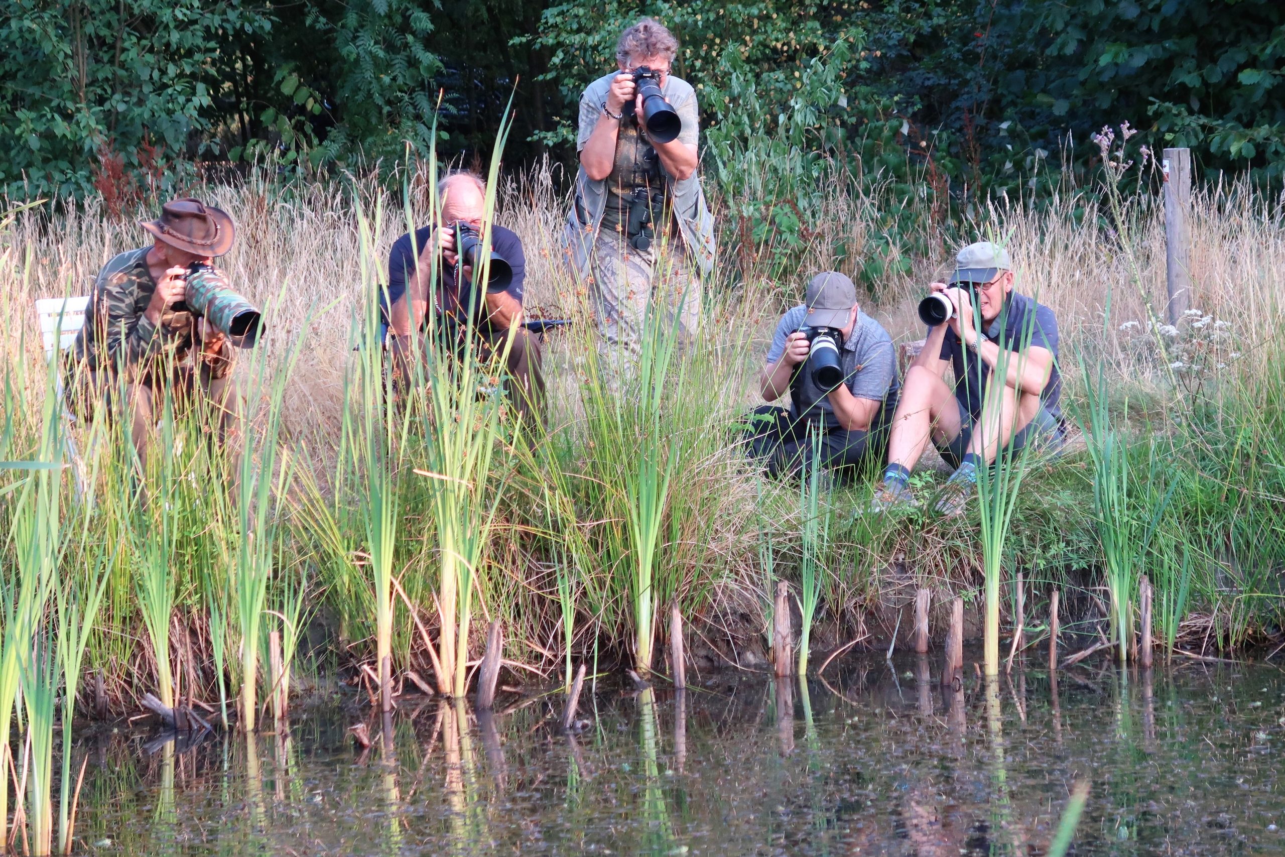 Werkgroep Natuurfotografie