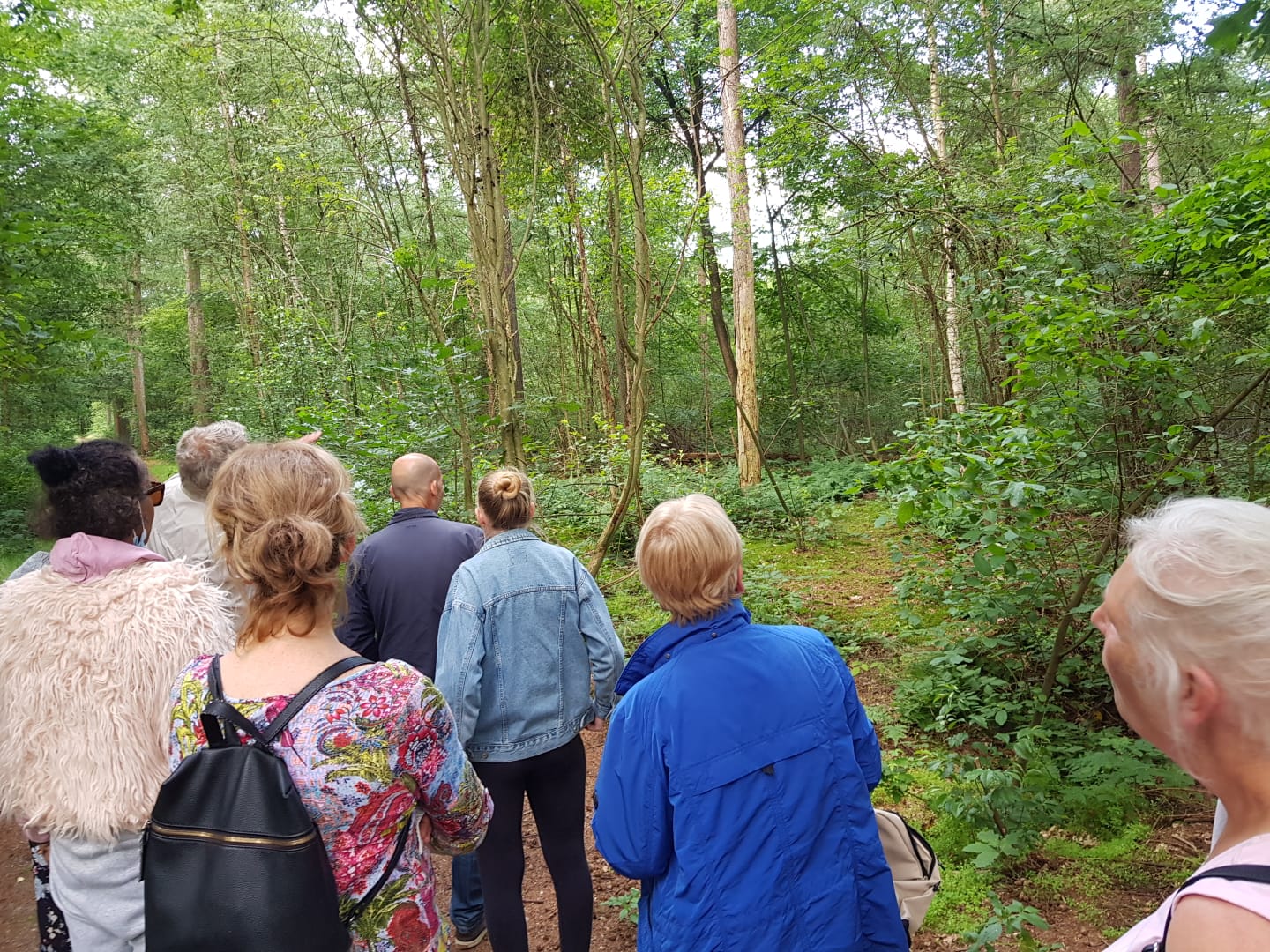 Groep mensen wandelt in een bos, omringd door weelderige groen en bomen.