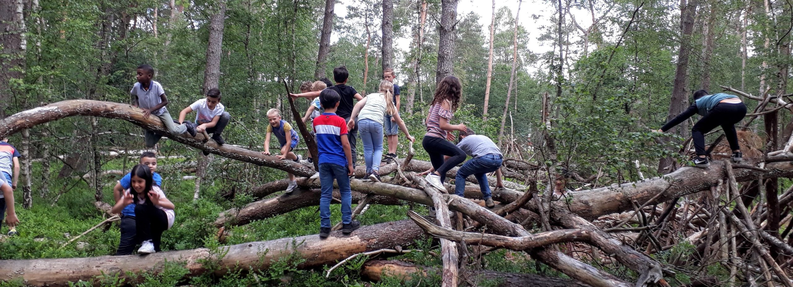 Bosdag Sterrenschool - Scharrelkids