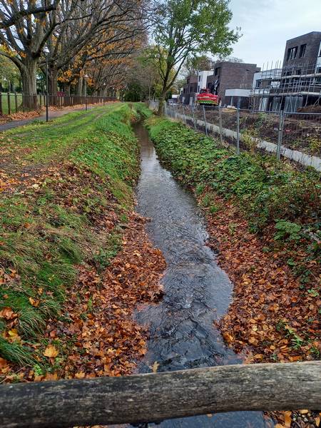 Smal kanaal met herfstbladeren, omringd door gras en bomen, naast huizen in aanbouw.