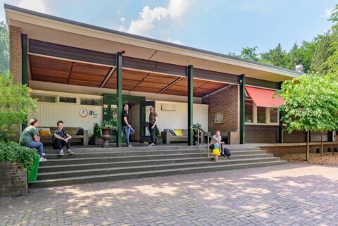 Ingang van een gebouw met mensen zittend op trappen, omringd door bomen en zonlicht.