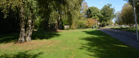 Grasveld met grote bomen links en een smal pad rechts, onder een heldere blauwe hemel.