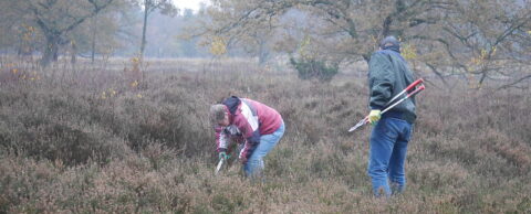Opslag verwijderen van schapenweide bij Hoog Buurlo