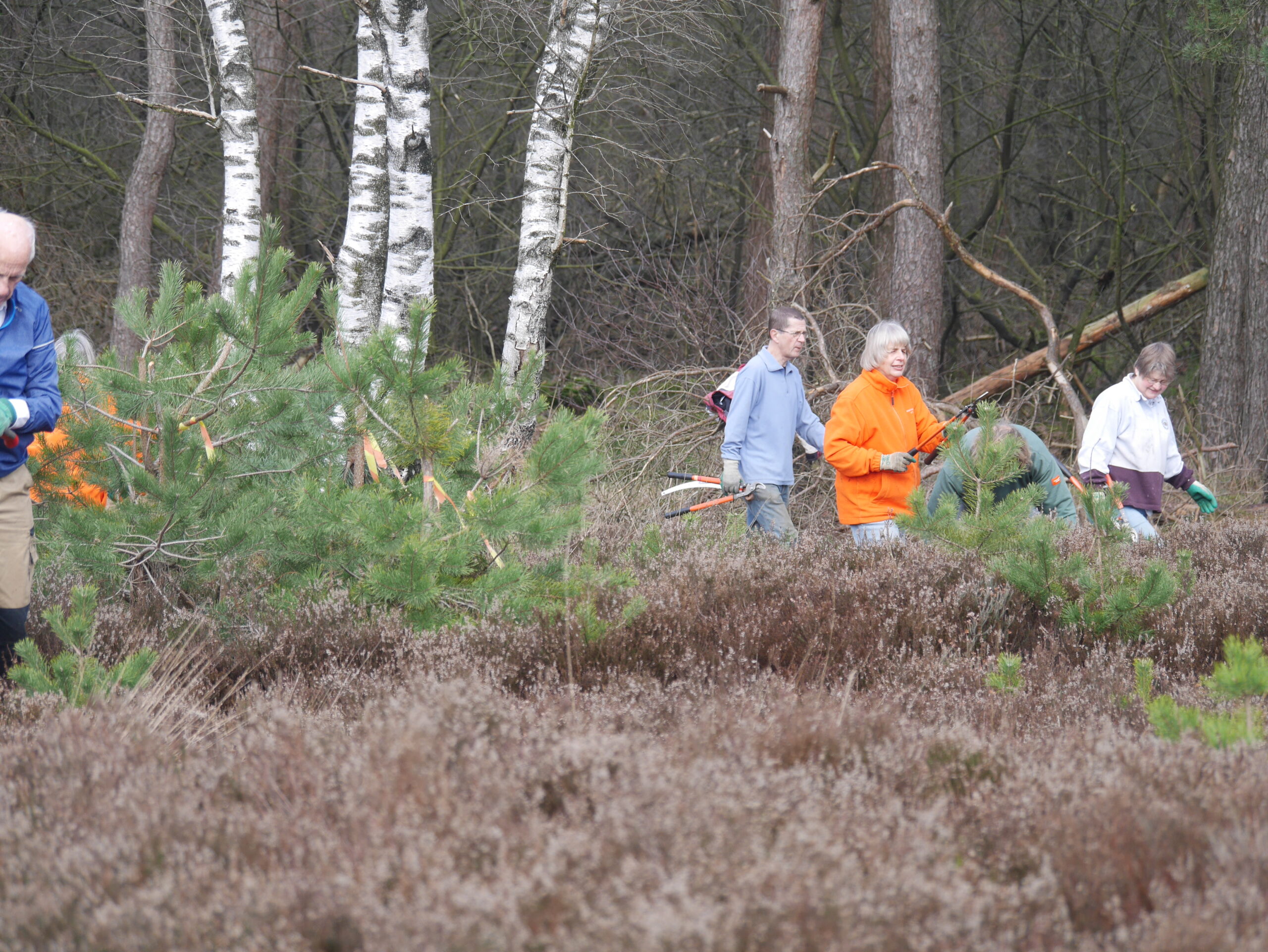 Aan het werk bij de Regelbergen