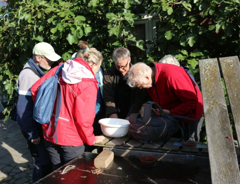 Een groep mensen kijkt gebogen over een witte schaal op een tafel in de zon, omringd door groen gebladerte.