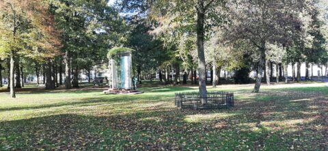 Park met bomen, gras, een metalen kunstwerk en omheind boompje in de herfstzon.