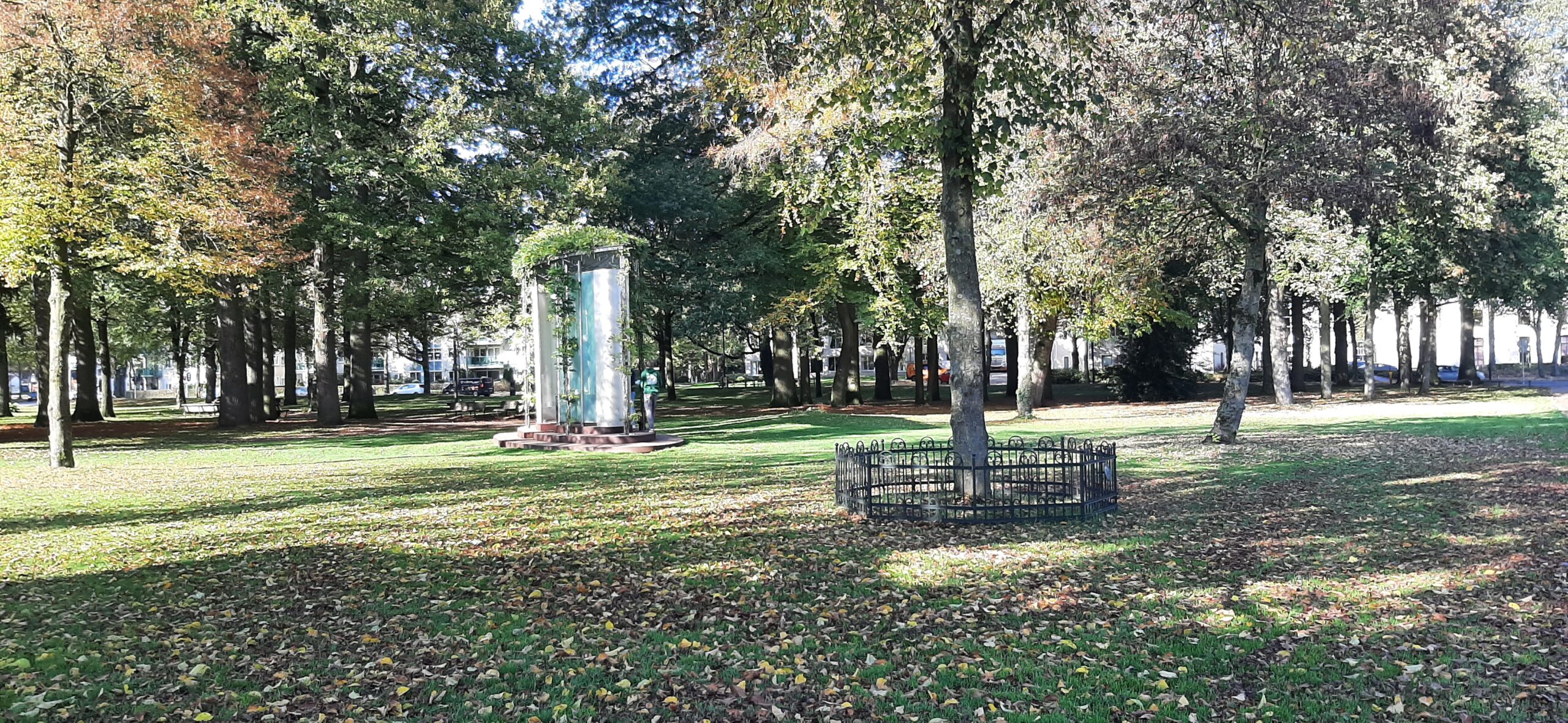 Park met bomen, gras, een metalen kunstwerk en omheind boompje in de herfstzon.