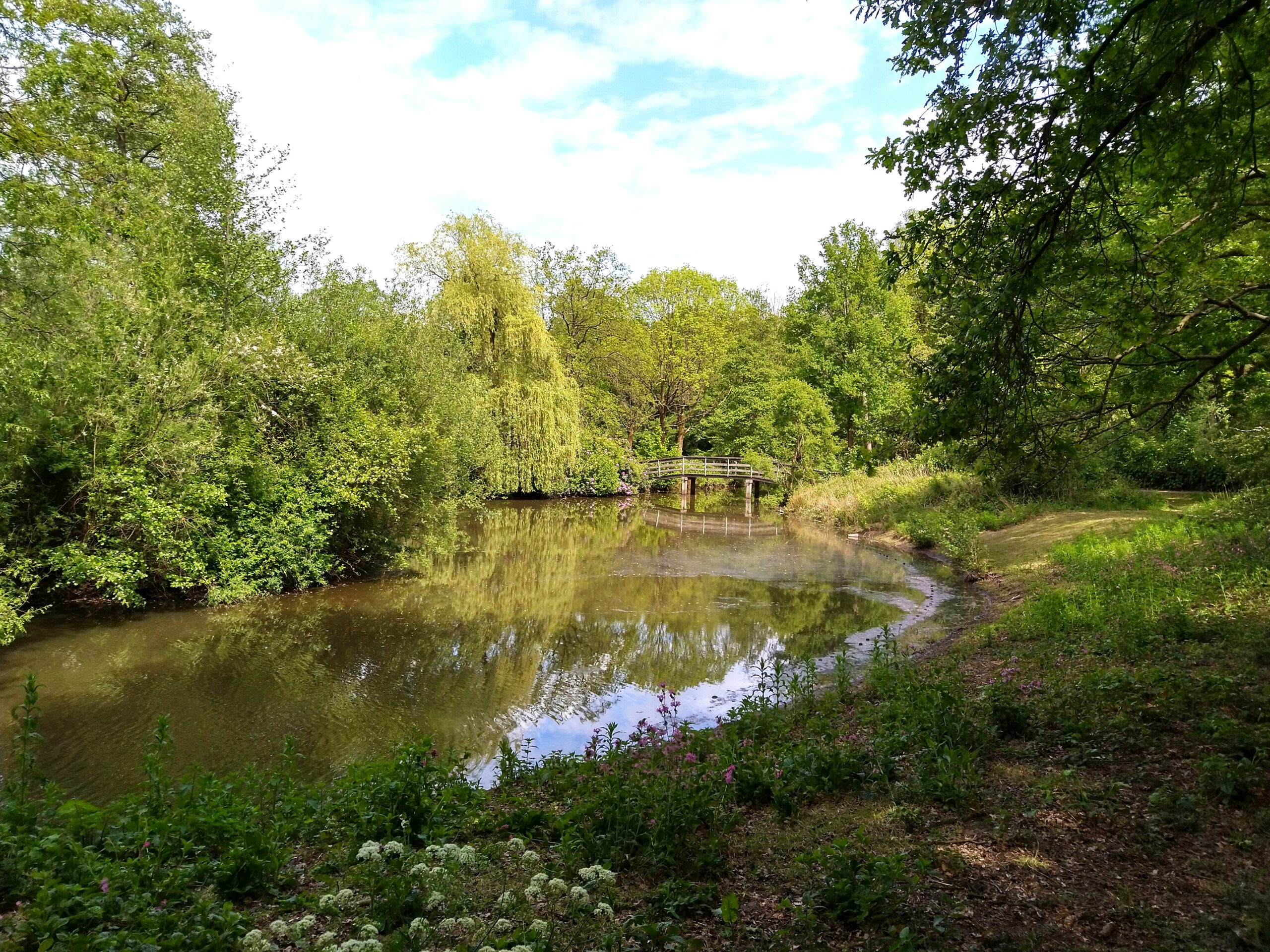 Bosrijke omgeving met een brug over een vijver, omringd door weelderig groene bomen.