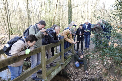Groep mensen observeert natuur vanaf een houten brug in een bosrijke omgeving.