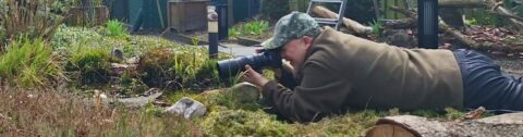 IVN fotosafari