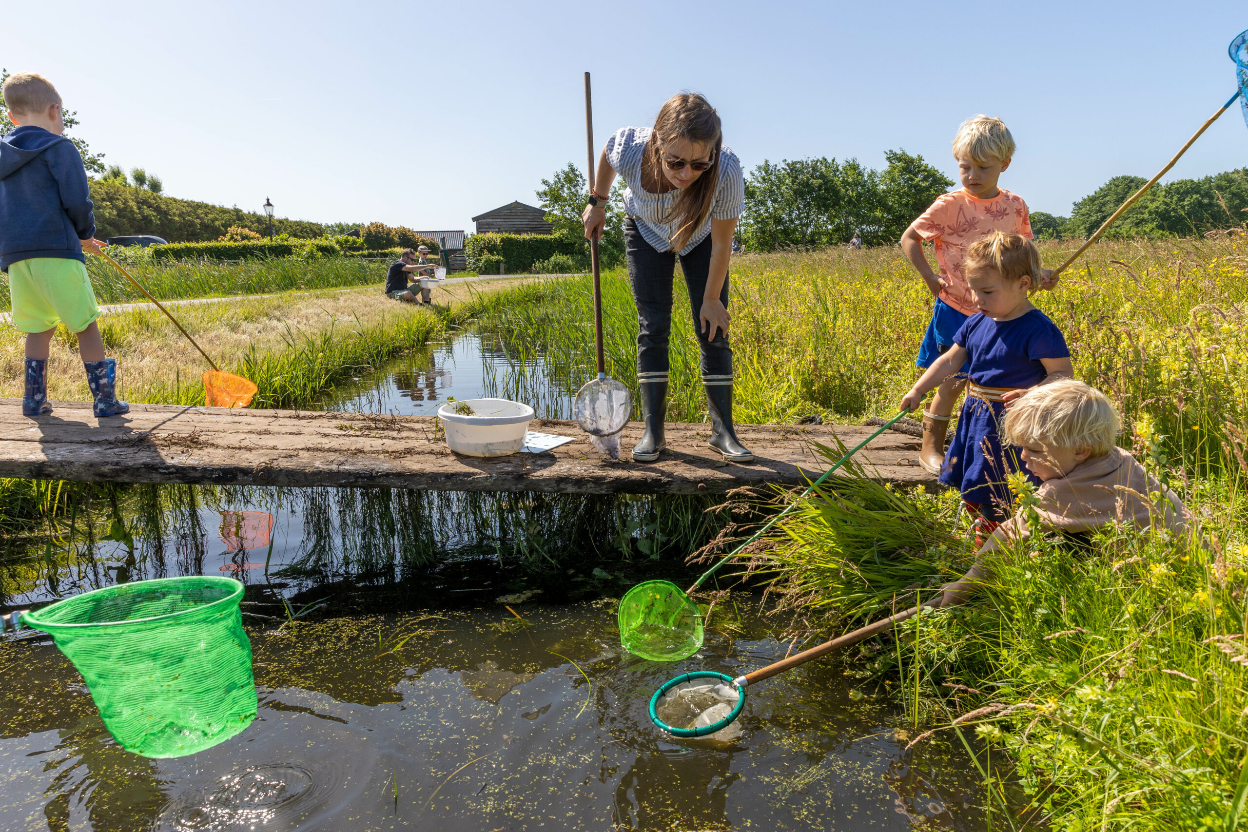 Kinderen en een volwassene vangen waterdieren met netten bij een sloot in een zonnige weide.