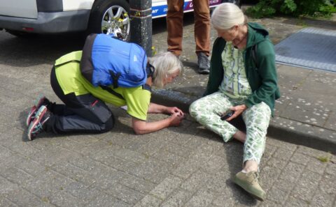 stoepplantjes