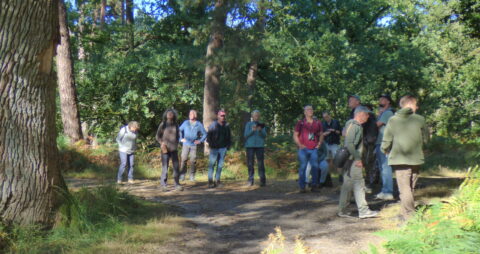 Mensen in een bos luisteren naar een gids onder groene bomen.