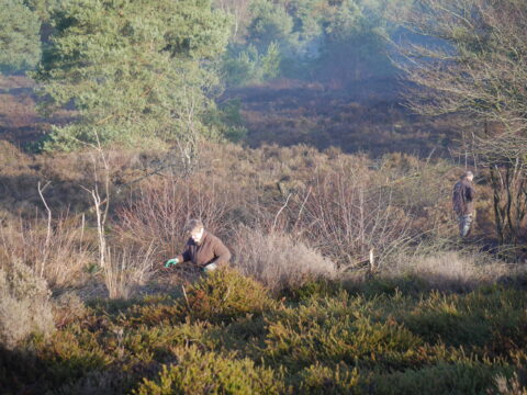 Twee mensen werken in een bebost heidelandschap onder een heldere hemel.