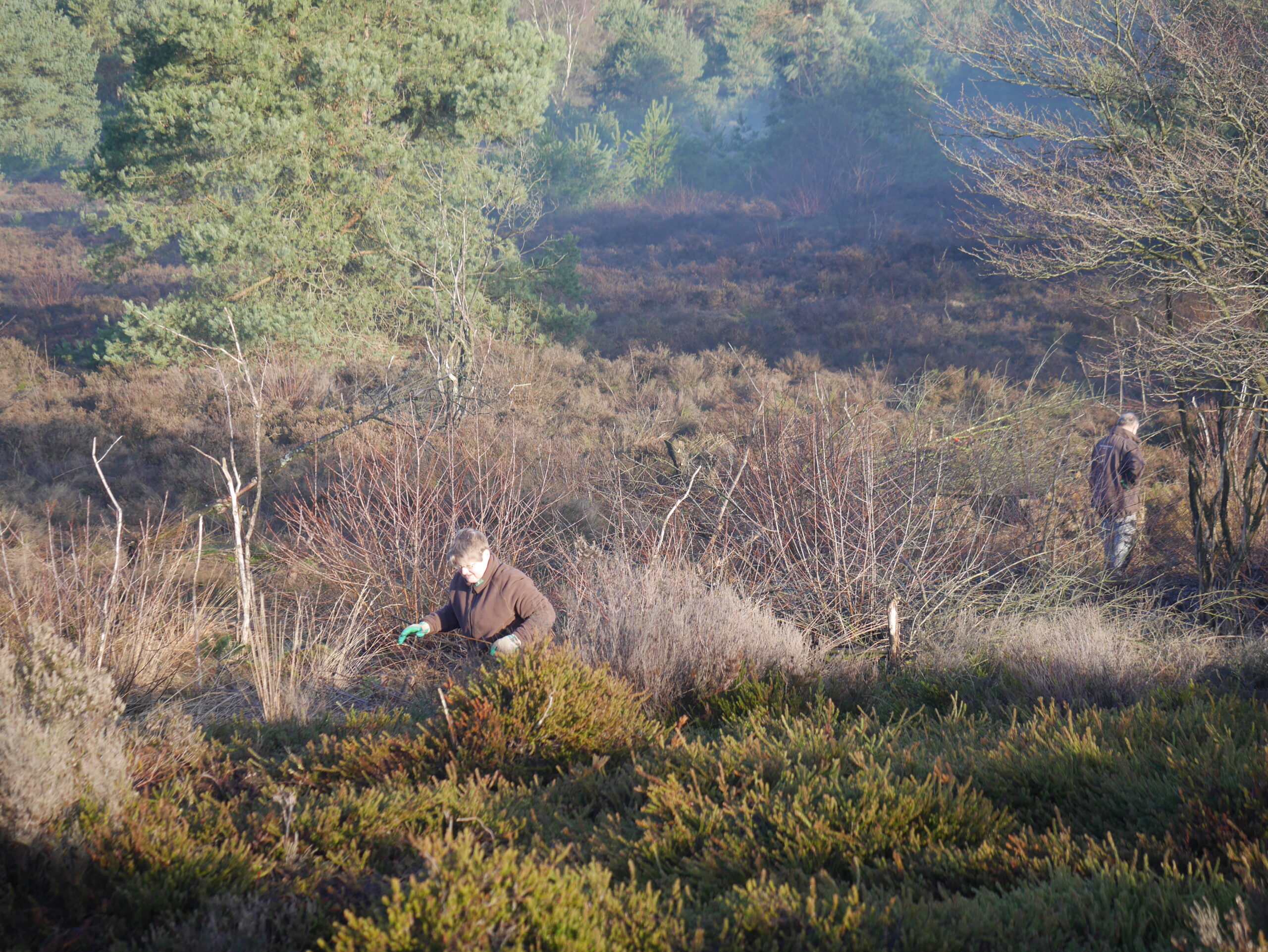 Twee mensen werken in een bebost heidelandschap onder een heldere hemel.