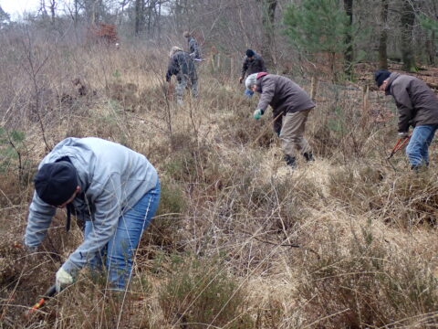 Opslag verwijderen van schapenwei bij Hoog Buurlo