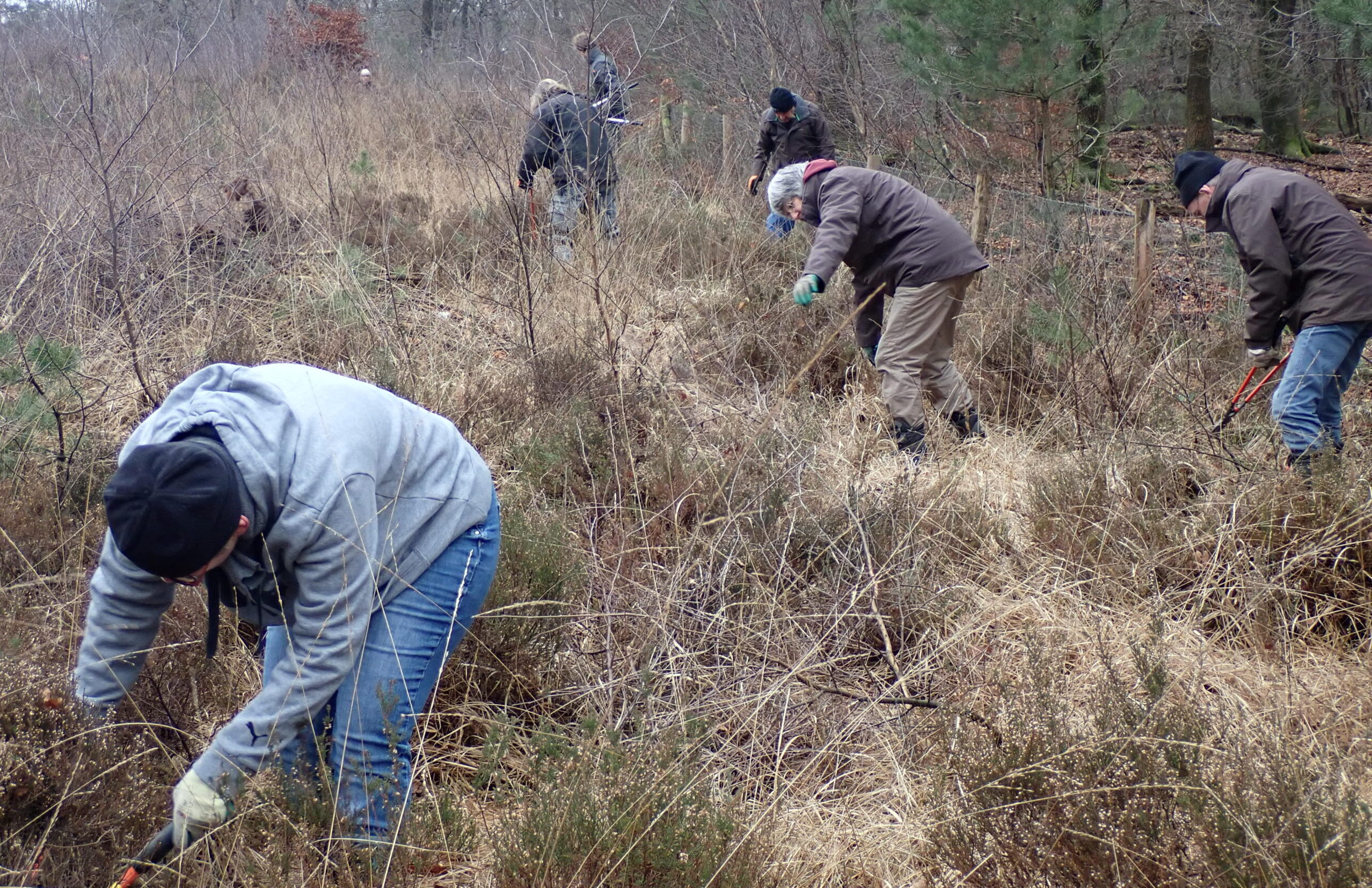 Opslag verwijderen van schapenwei bij Hoog Buurlo