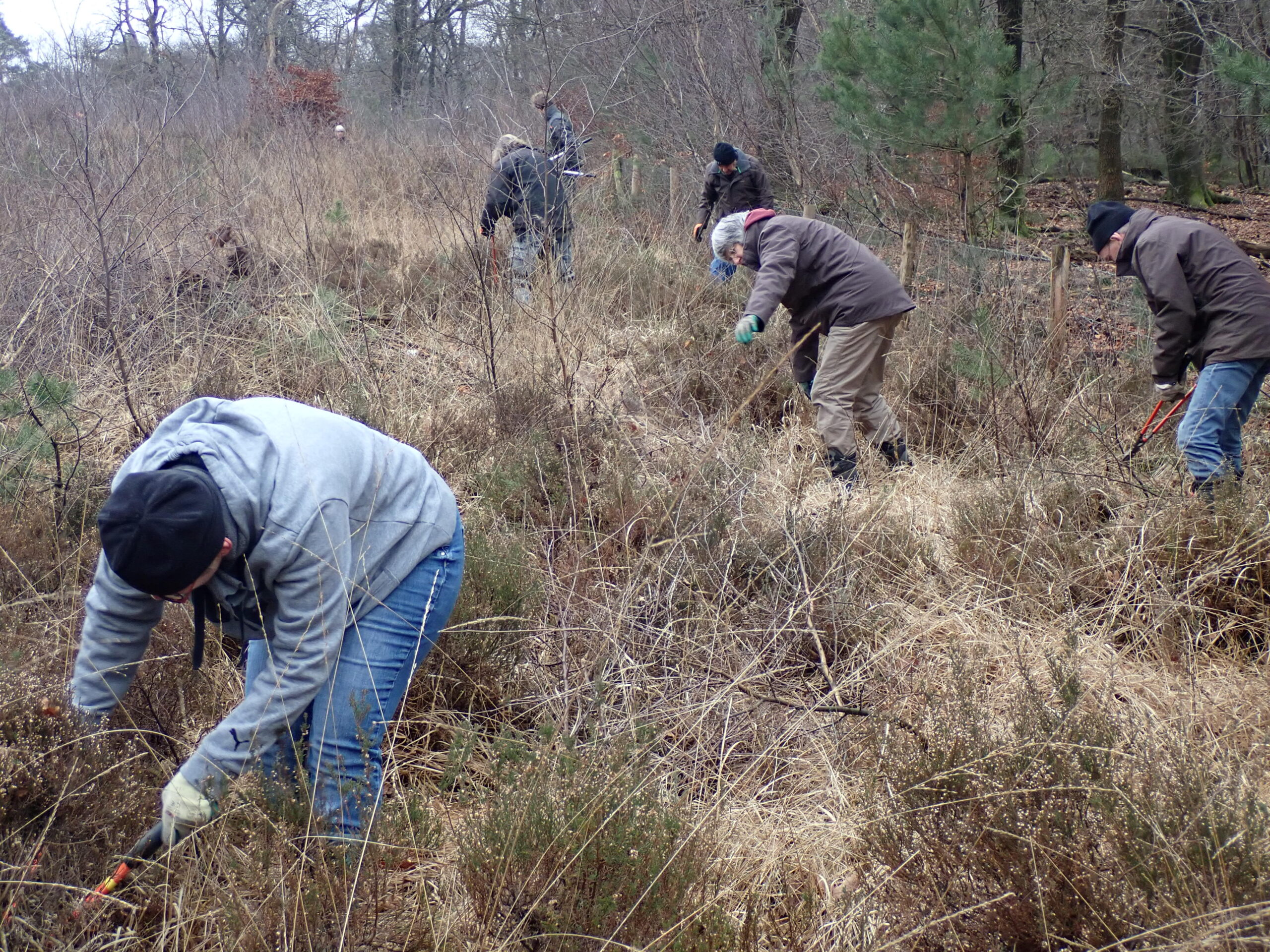 Opslag verwijderen van schapenwei bij Hoog Buurlo