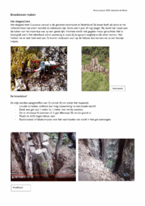 Staatsbosbeheer richtlijn broedstoven maken voor vliegend hert