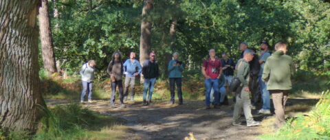 Een groep mensen wandelt in een bosrijke omgeving onder zonnige omstandigheden.