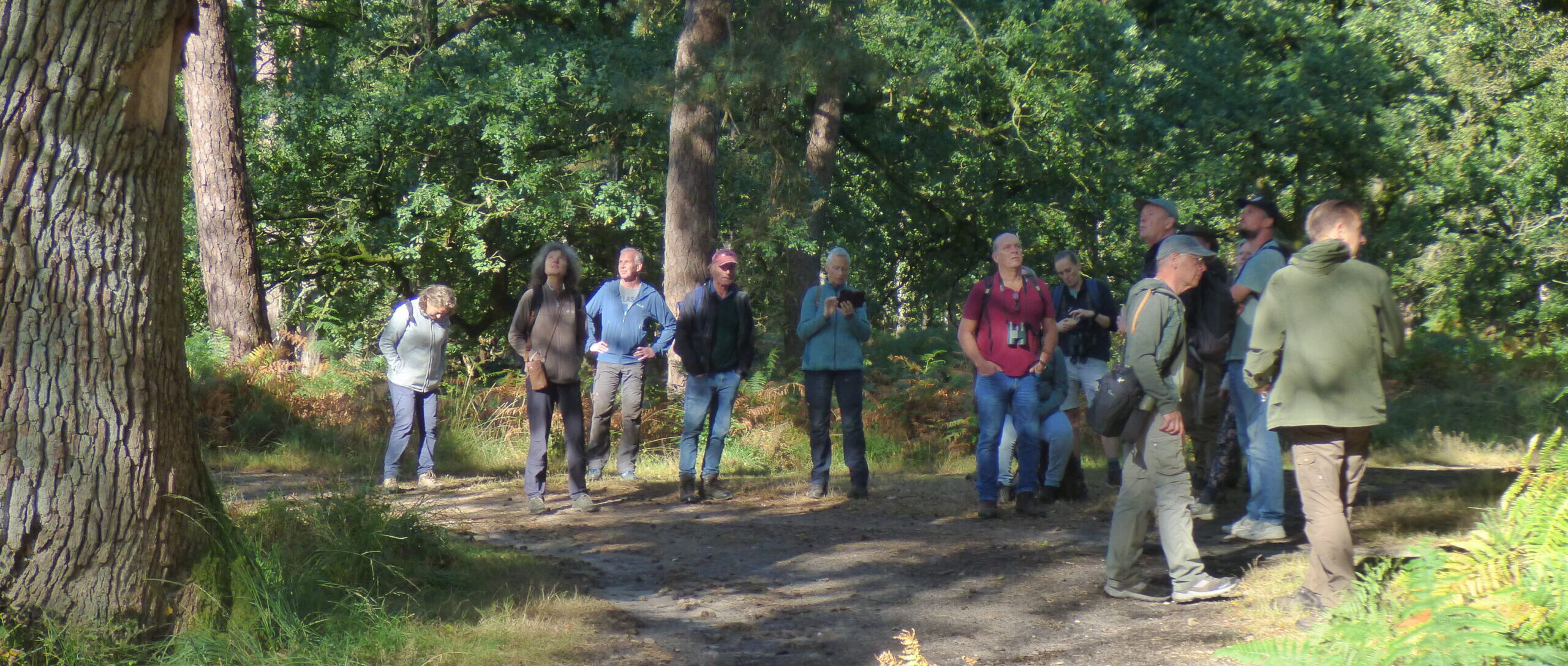 Een groep mensen wandelt in een bosrijke omgeving onder zonnige omstandigheden.