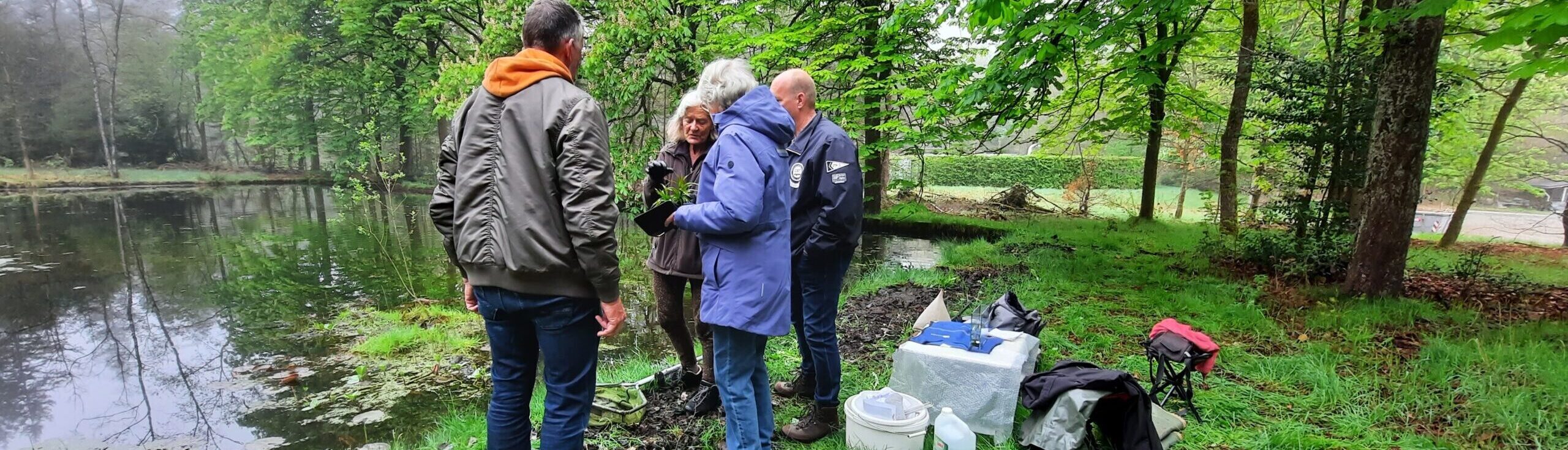 Groep mensen onderzoekt planten aan de rand van een bosvijver, met materialen op het gras.