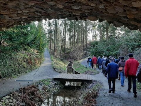 Groep mensen wandelt door bos met kronkelend pad, bruggetje en stenen overhang.