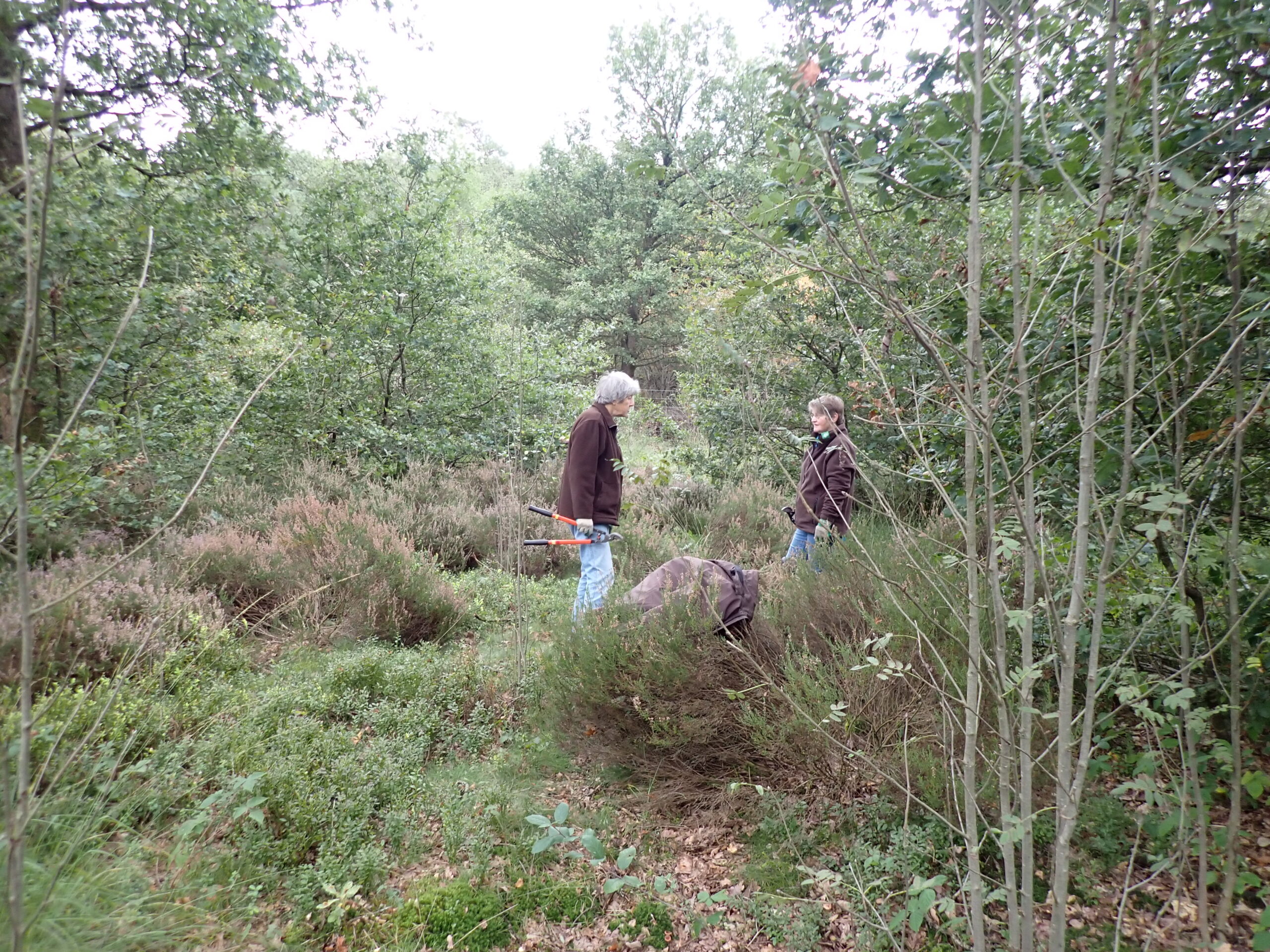 Twee personen met gereedschap in een bosrijke omgeving met struikgewas en bomen.