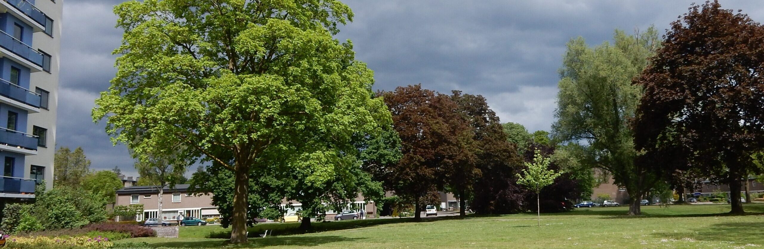 Appartementengebouw naast groene bomen in park, bewolkte lucht op achtergrond.