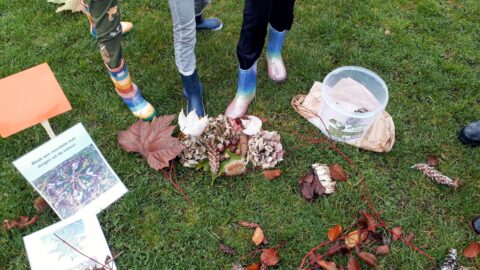 Kinderen maken een natuurmandala op gras, omringd door bladeren en een emmer.