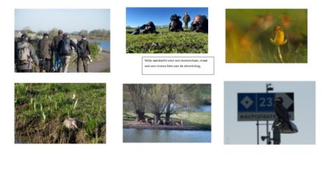 Groep mensen met camera's observeert vogels in een natuurgebied. Diverse vogels in natuurlijk landschap.