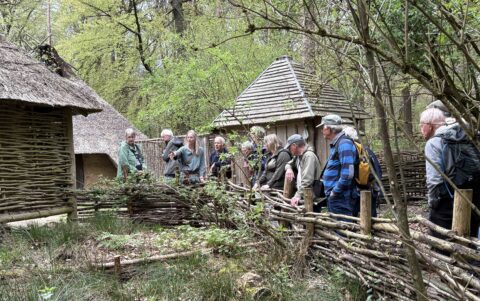 Groep mensen bij historische strodaken in bosrijke omgeving met houten omheining.