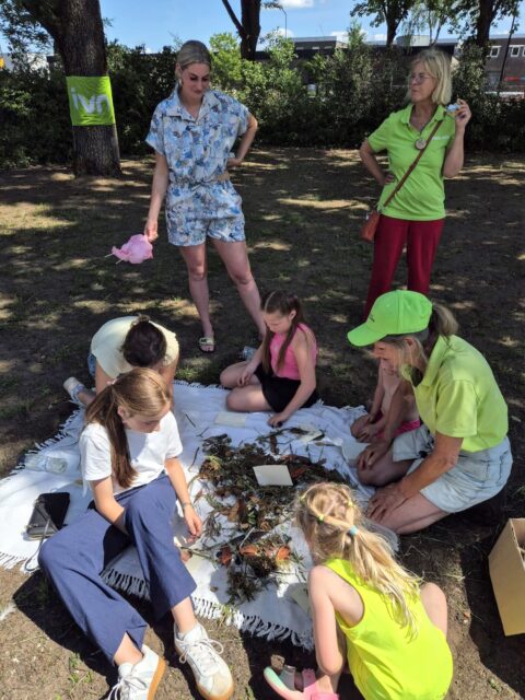 Groep mensen verzameld rond een kleed met bladeren tijdens een natuuractiviteit in een park.