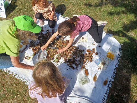 Kinderen verzamelen natuurlijke materialen op een kleed buiten.