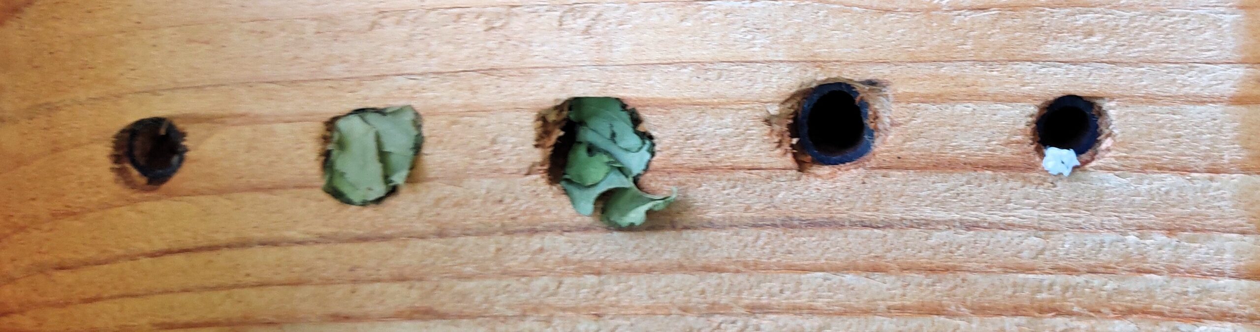 Een houten oppervlak met vier gaten, deels gevuld met groen en wit materiaal.