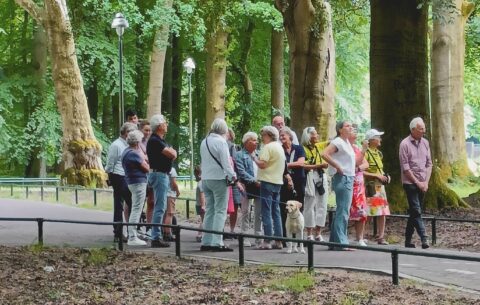 Groep volwassenen met hond wandelen in bosrijke omgeving op een pad met bomen.