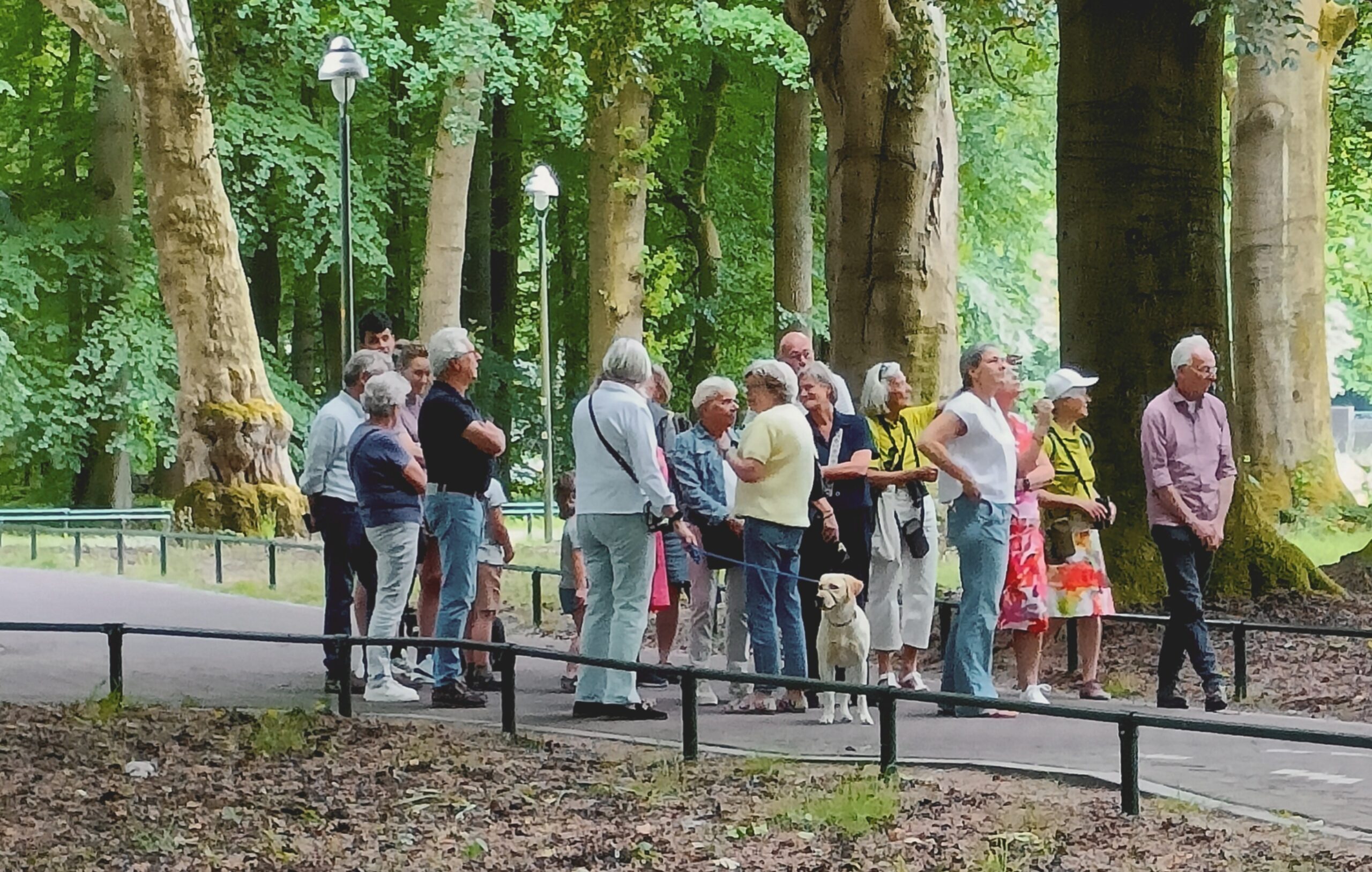Groep volwassenen met hond wandelen in bosrijke omgeving op een pad met bomen.