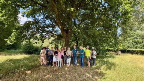 Groep mensen poseert onder een grote boom in een grasveld op een zonnige dag.
