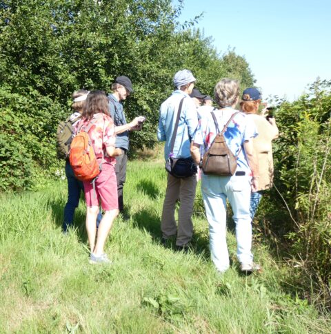 Een groep mensen op een natuurwandeling, omgeven door gras en bomen.