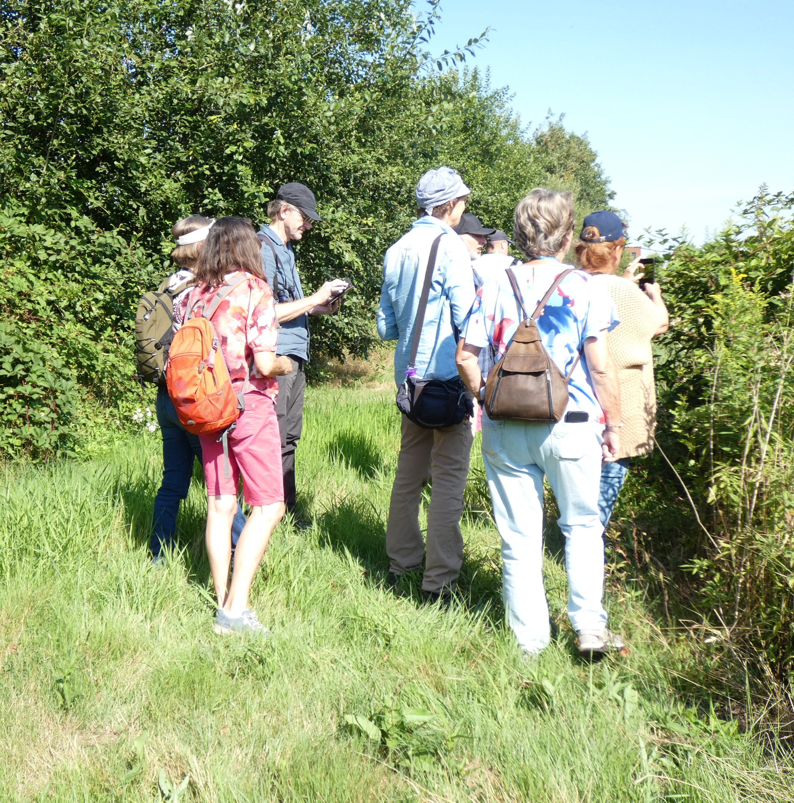 Een groep mensen op een natuurwandeling, omgeven door gras en bomen.