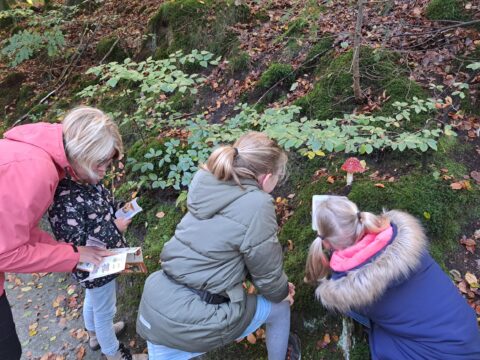 Drie mensen onderzoeken een rood-met-witte paddenstoel in een bosrijke omgeving.