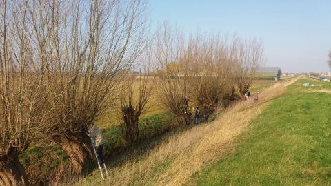 Werkgroep Landschapsbeheer