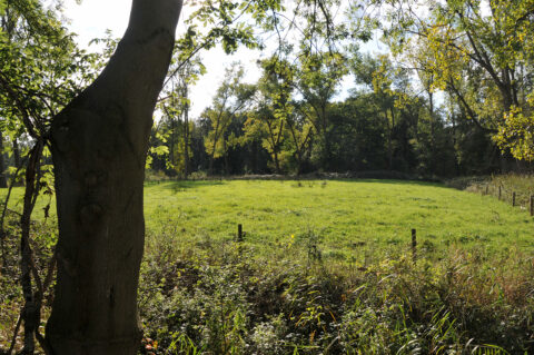 BrabantseWal Oudland Padmos