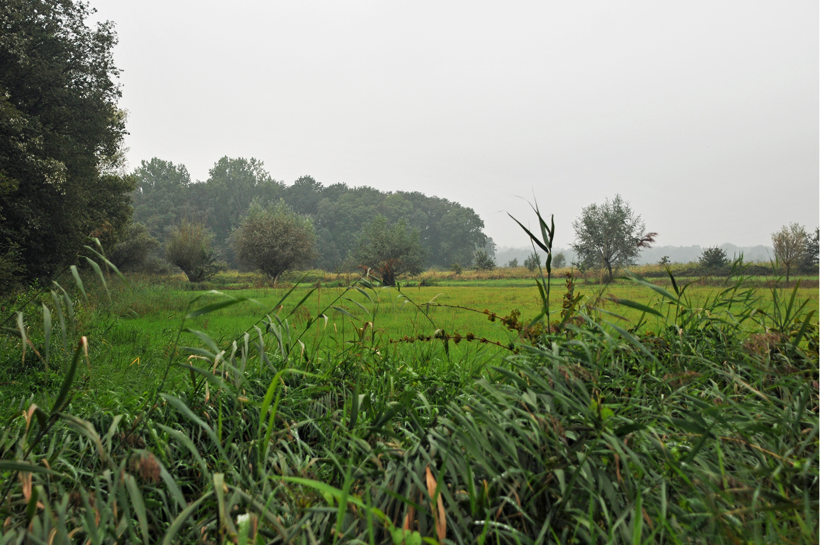 BrabantseWal GroeneZoom Oudland