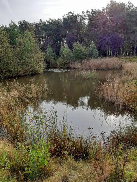 Excursie Wouwse Plantage