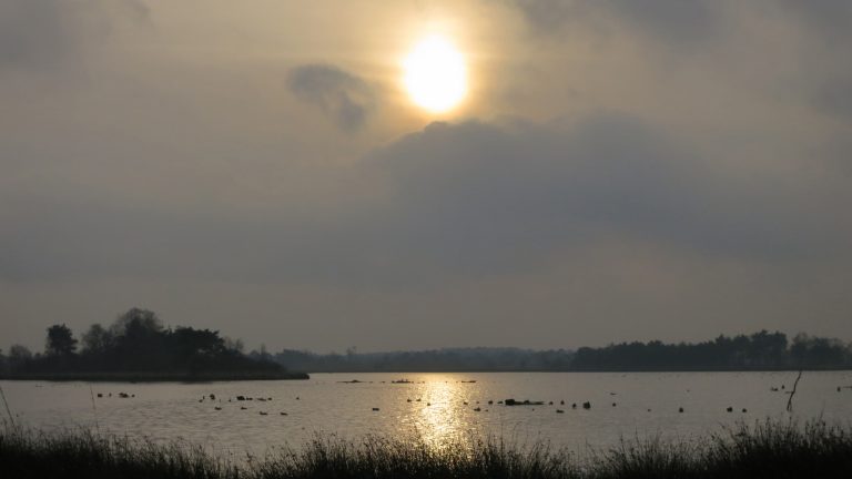 Kinderactiviteit Stiltedag